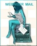 WebWiser Inc is Online